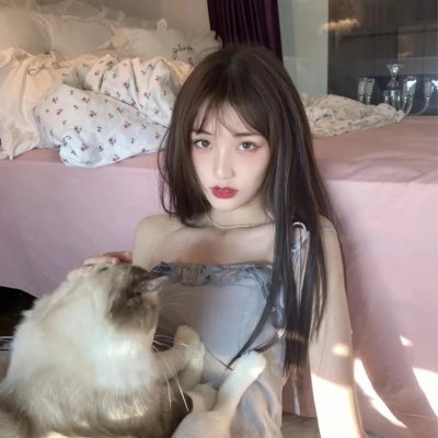 有猫的迷宫 高清封面